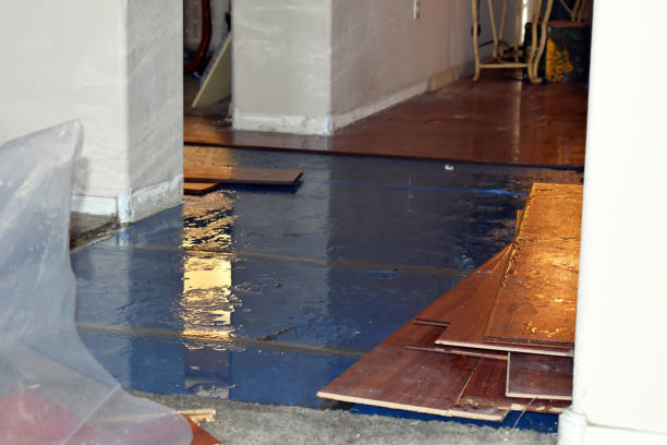 Professional Basement Water Removal technician working in Roanoke, AL